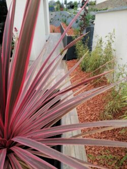 Paysagiste Maen Roch Création de jardin 26 Maçonnerie Maen Roch